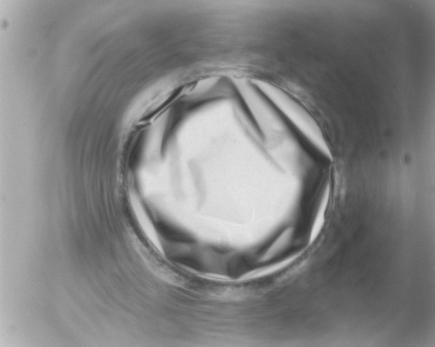 X0000054420293200508262329