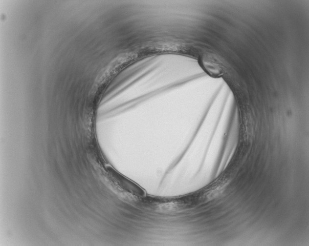 X0000054420309200508262329