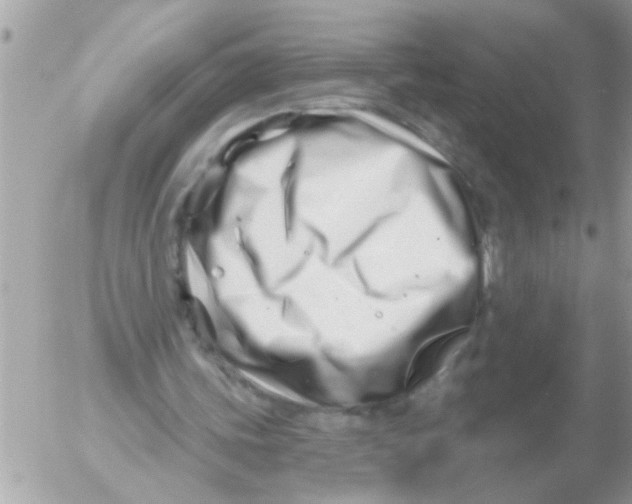 X0000054420339200508262327
