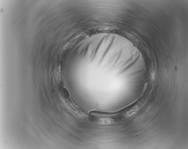 X0000054420376200508262328