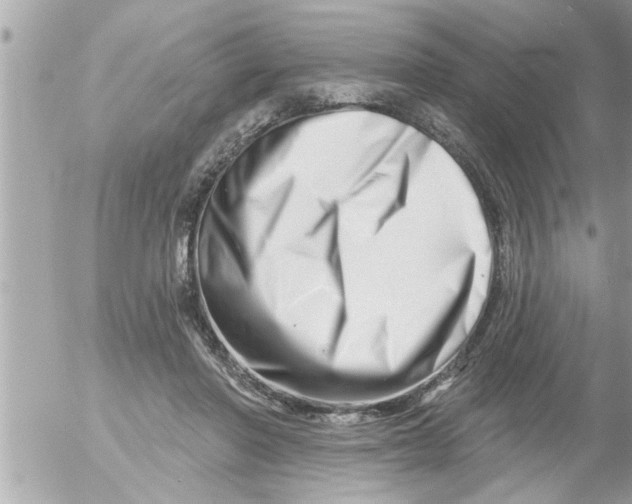 X0000054420406200508262327