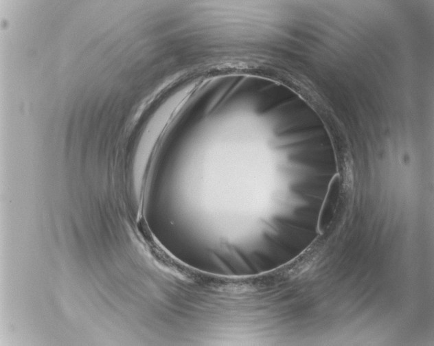 X0000054420444200508262326