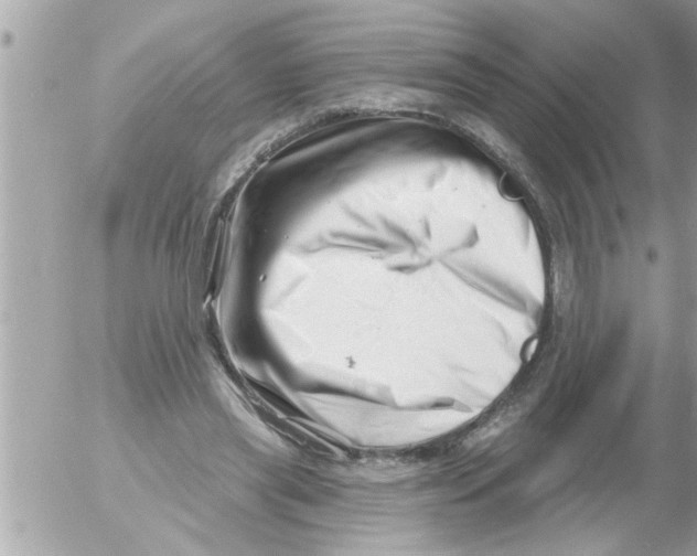 X0000054420445200508262326