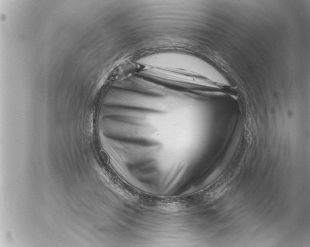 X0000054420454200508262326