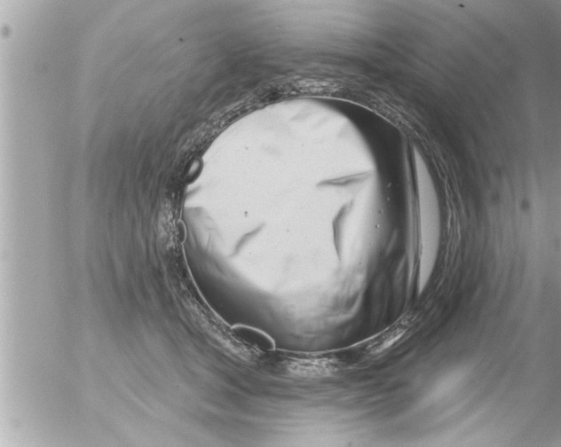 X0000054420465200508262326