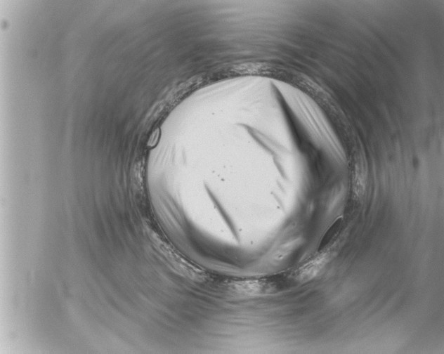 X0000054420473200508262326