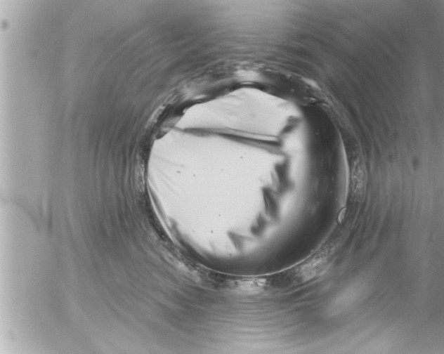 X0000054420474200508262326