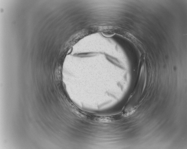 X0000054420475200508262326