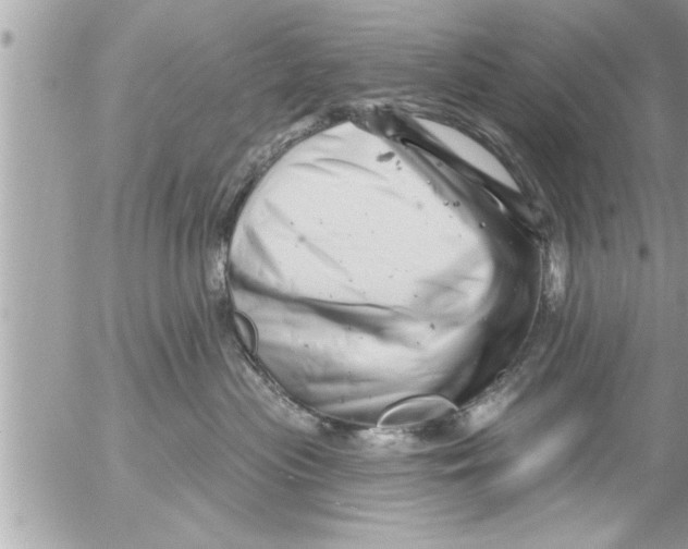 X0000054420477200508262326