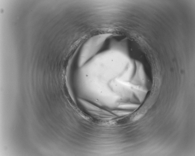 X0000054420576200508262325