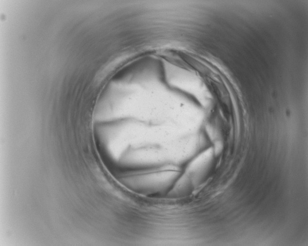 X0000054420577200508262324