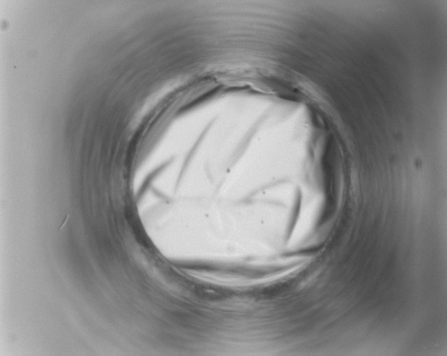 X0000054420578200508262324