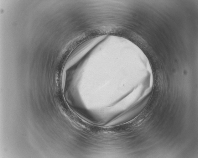 X0000054420590200508262324