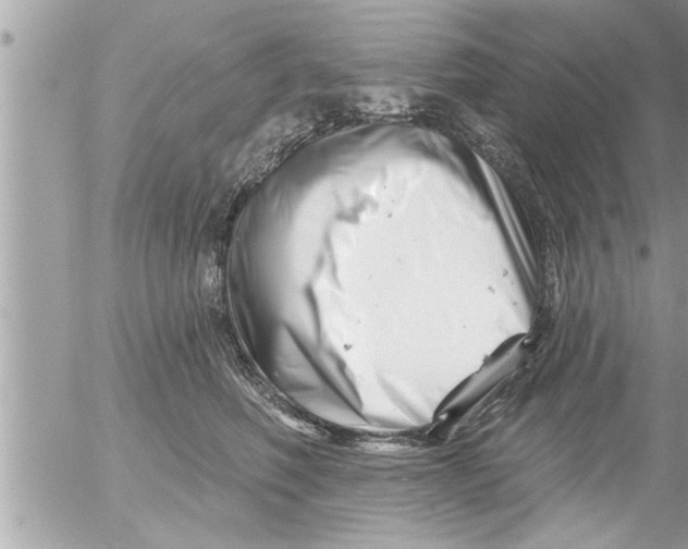 X0000054420614200508262324