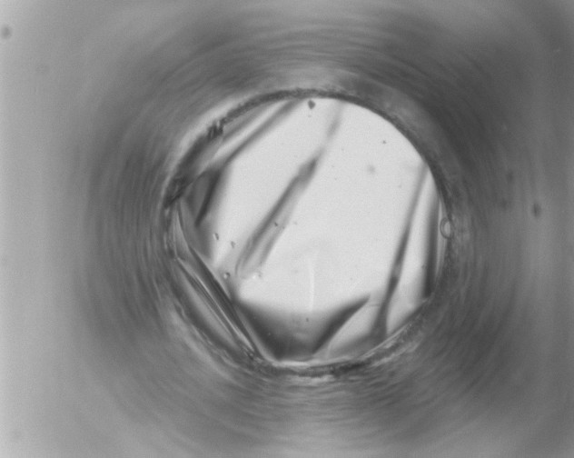 X0000054420628200508262323