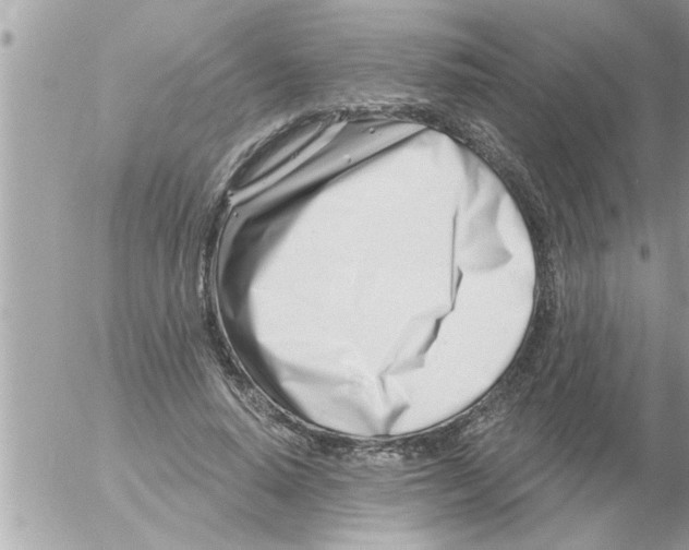 X0000054420640200508262323