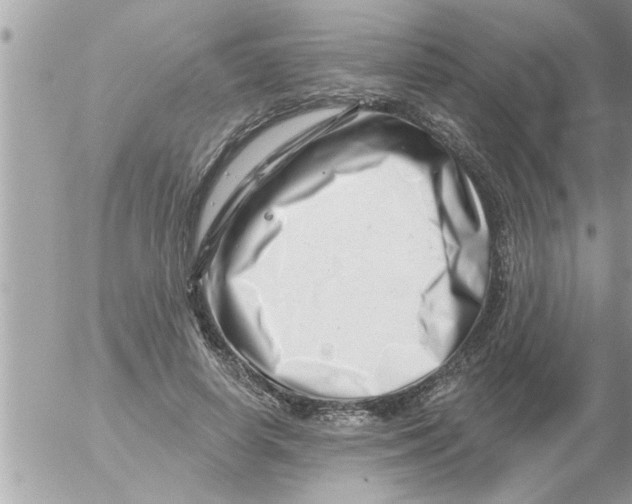 X0000054420642200508262323