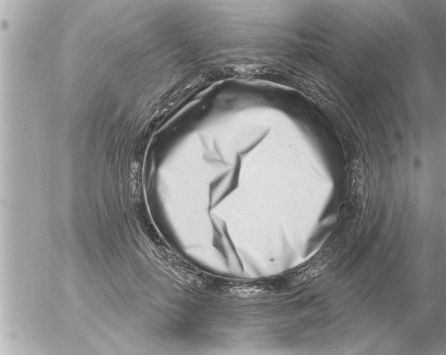 X0000054420650200508262323