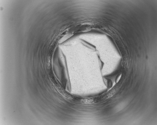 X0000054420660200508262323