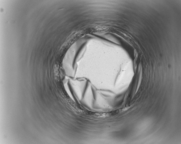 X0000054420667200508262323