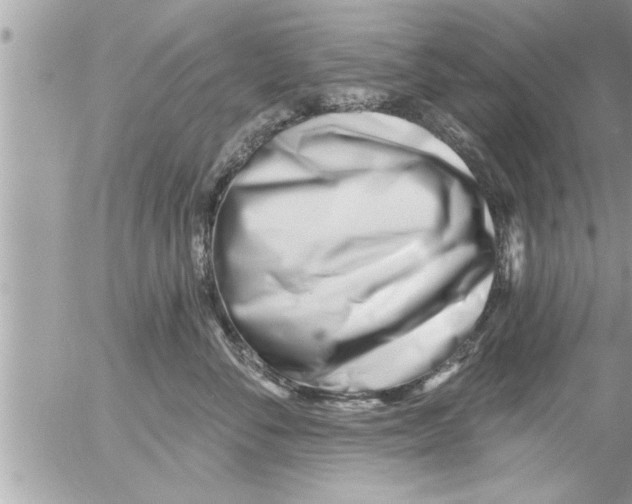 X0000054420716200508262322