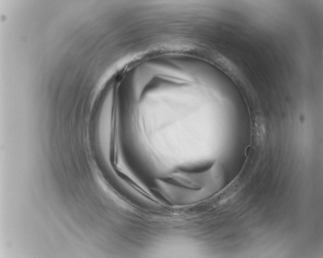 X0000054420726200508262321
