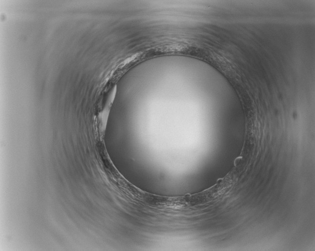 X0000054420743200508262321
