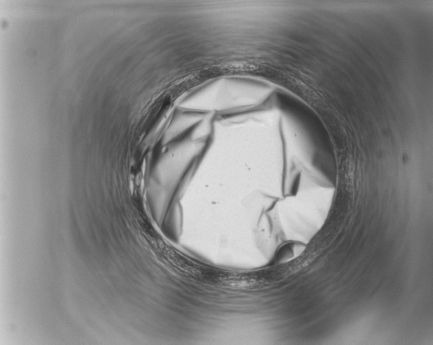 X0000054420746200508262321