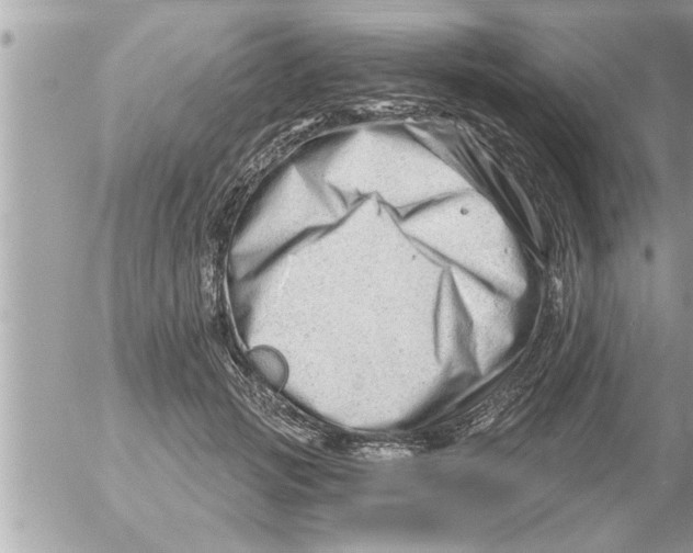 X0000054420749200508262321