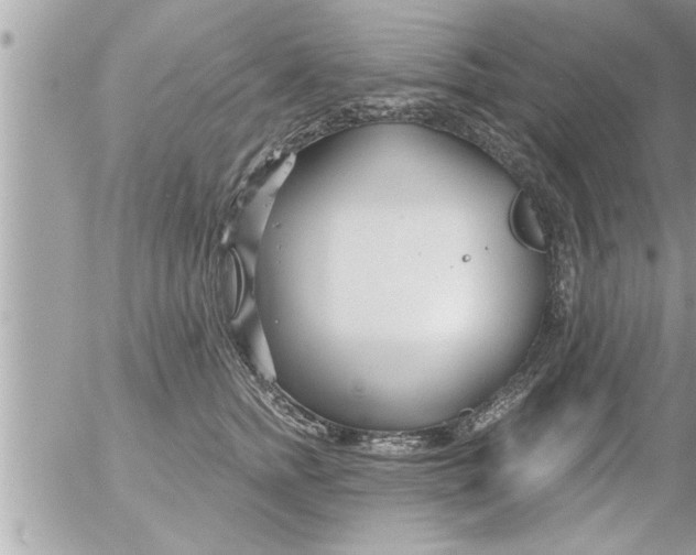 X0000054420758200508262322
