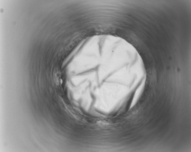 X0000054420770200508262321
