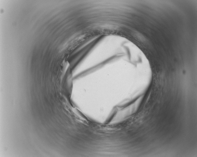 X0000054420774200508262321