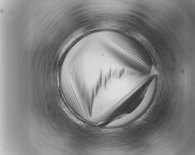 X0000054420796200508262321