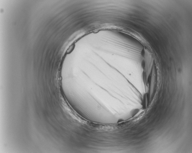 X0000054420806200508262320