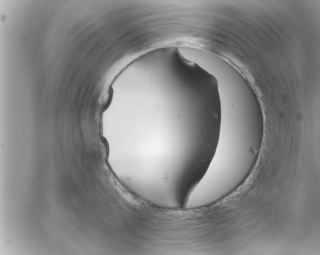 X0000054420816200508262320