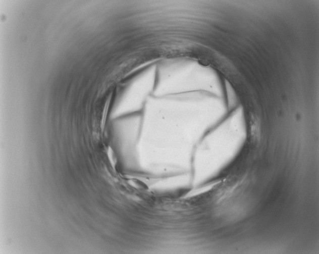 X0000054420819200508262319