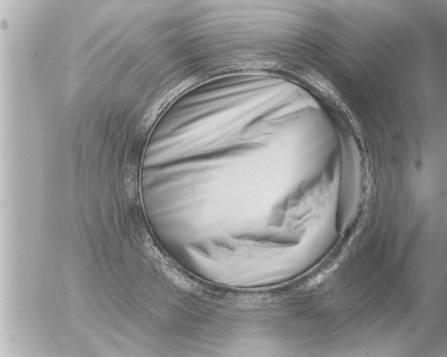X0000054420889200508262319