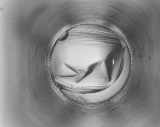 X0000054420907200508262319