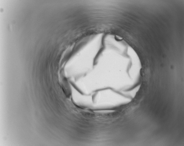 X0000054420913200508262318