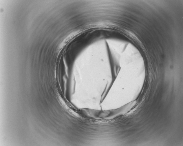 X0000054420938200508262318