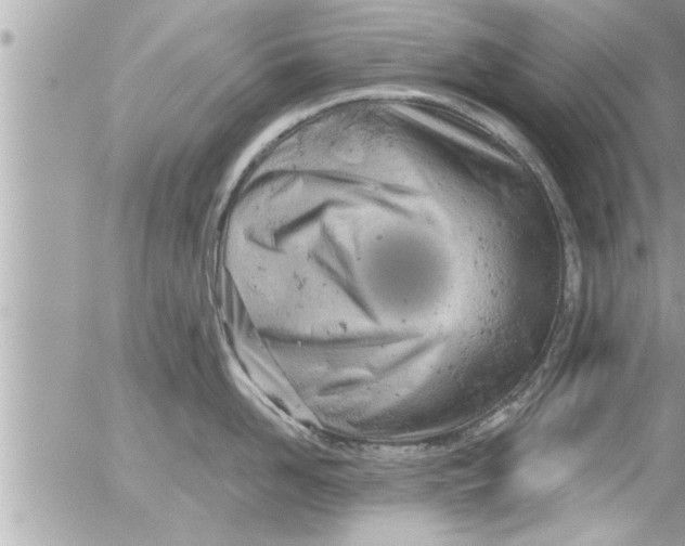 X0000054420958200508262319