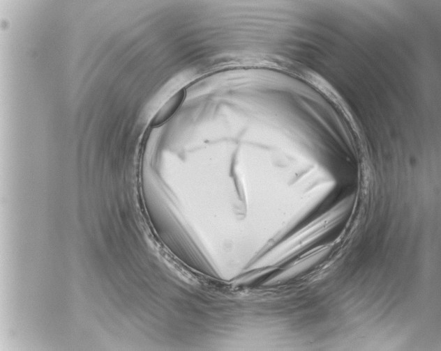 X0000054421002200508262317