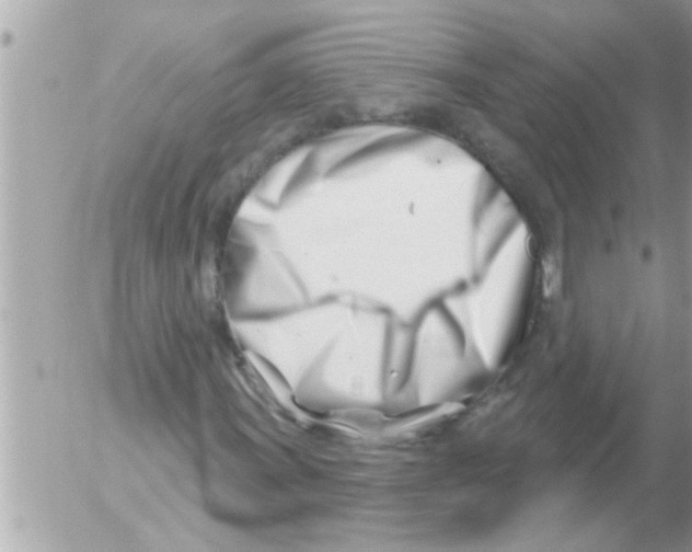 X0000054421011200508262316