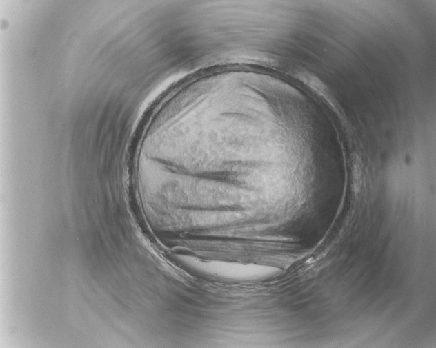 X0000054421024200508262316