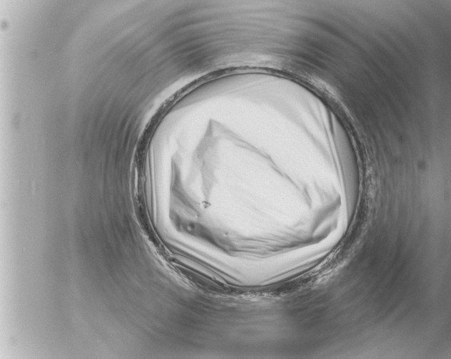X0000054421125200508262315