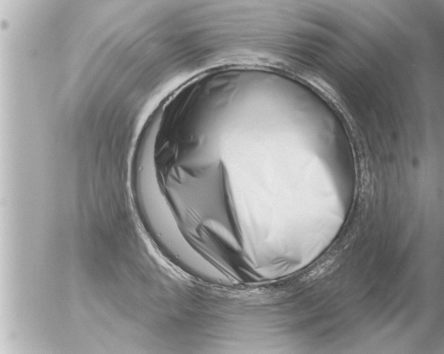 X0000054421128200508262315