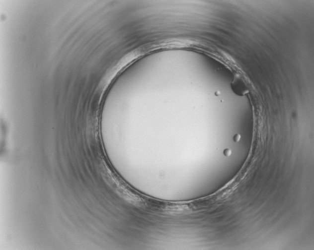 X0000054421186200508262314