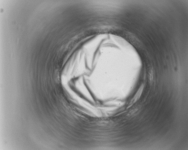 X0000054421204200508262313