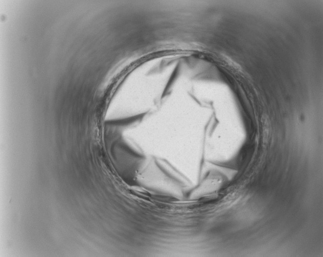 X0000054421215200508262313