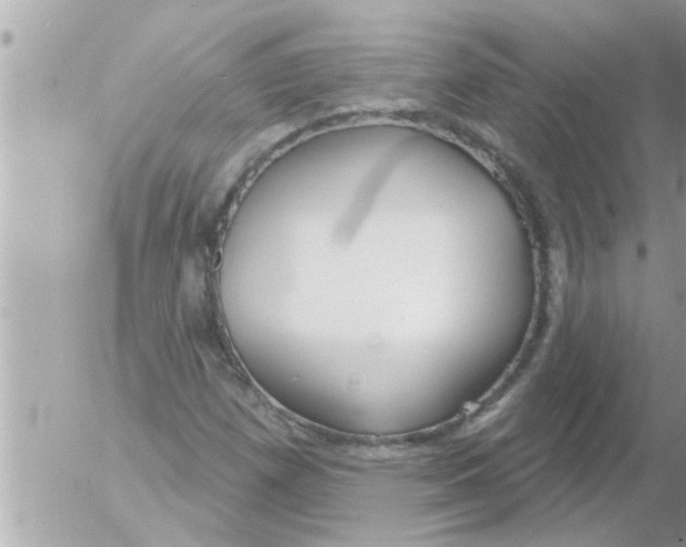X0000054421257200508262313